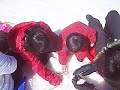 Vinci in Snowy Mountains - Playing with Ice