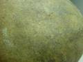 Great North American indian stone artifact