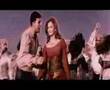 dil duba