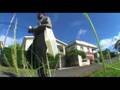 videos de LINK International productions Green Globe 21