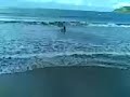 El Guano y reinita en mazatlan captados infragantiiii