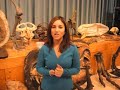 Cos Cob Elementary School Dinosaurs Rock Assembly