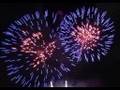 Giochi d'Ali Solidali 2008 (parte 2)