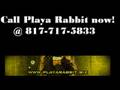 Call Playa Rabbit @ 817-717-5833