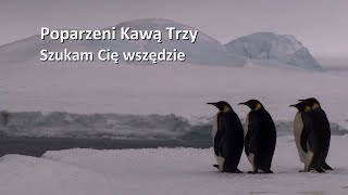 Poparzeni Kawą Trzy - Szukam Cię wszędzie tekst piosenki