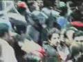 videos de punk en Bogotá no está muerto