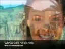 DFI WholeSale Travel Vacations For Life with Coastal Travel DFI WholeSale Travel Vacations For Life with Coastal Travel