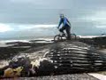 whale bail