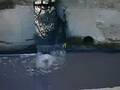 Environment Pollution from Industries