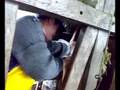 Inseminacion Artificial en Bovinos - El Sinu / Barragan