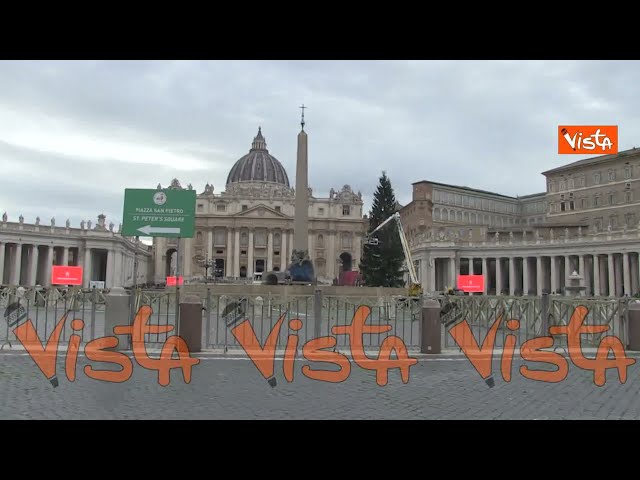 Natale 2025, l'allestimento dell'albero di Natale e del presepe a Piazza San Pietro