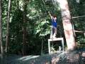 娘丁英風颯颯之手快斷了@permai Tree house, Sarawak
