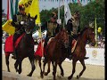 Nemzeti V�gta 2008 - National Galopp 2008