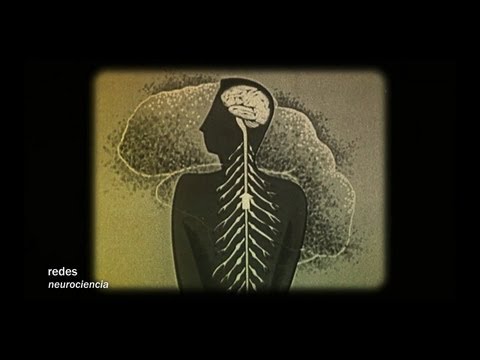 Redes 163: Estimula tu cerebro para vivir más y mejor - neurociencia