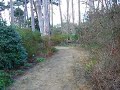 Walking in Bois de Vincennes Walking in Bois de Vincennes