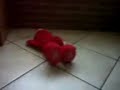 elmo cosquillas