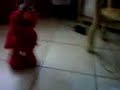 elmo cosquillas