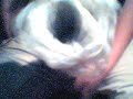 Stinky Diaper in The Pail.wmv