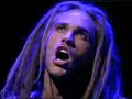 a montage of tarzan on broadway.