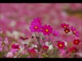 '日本の四季の彩り(1)切手のないおくりもの~田中星児 切手