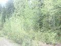 Rocky Mountaineer