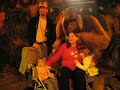 zoo lights zoo lights
