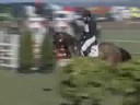 Eventing - Everything\ Eventing - Everything\