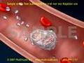 Clot Formation and Clot Breakdown Clot Formation and Clot Breakdown