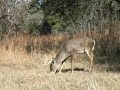 Kassi hunts with a crossbow for the first time
