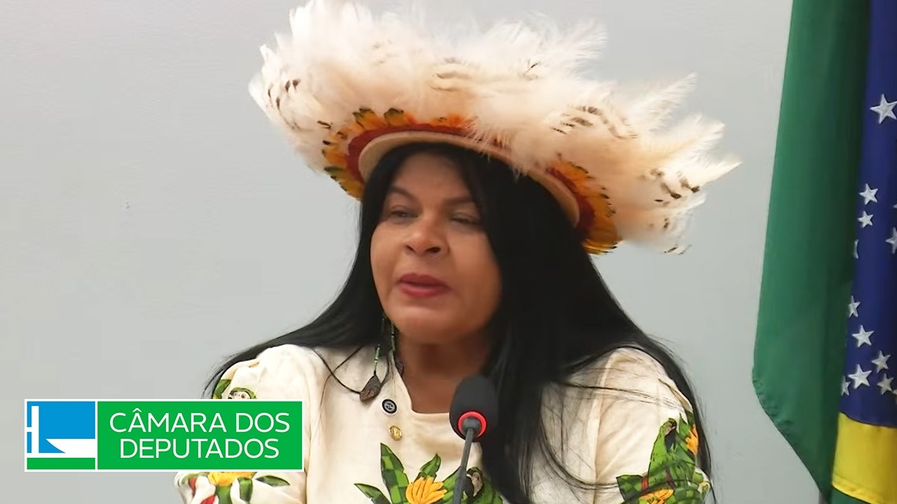 Amazônia e dos Povos Originários e Tradicionais - Discussão e votação de propostas - 29/04/2026