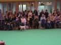 Parson Russell Terrier Crufts 2010 - Open Dog Part 1