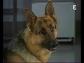 Kommissar Rex : Reginald & Rhett Kommissar Rex : Reginald & Rhett
