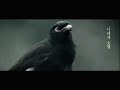 Muoi (Teaser) Muoi (Teaser)