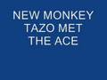 tazo and mc ace