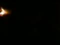 videos de Video-0011