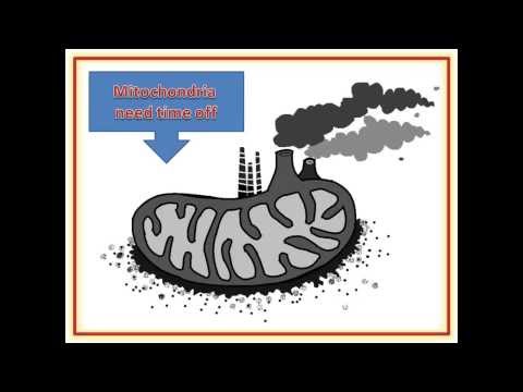 Burned out mitochondria the cause of insulin resistance ?