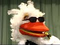 Dr. Duck @ Your Library