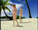 All scenes of DOAX2 (22 / 138)