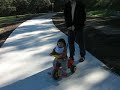 trike 1 trike 1