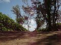 Surf at Malaekahana Beach Park on Oahu