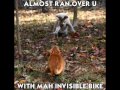 Funny Cats SlideShow :D