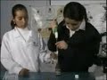 Enzima Peroxidasa o Catalasa - Enfermer�a UAP