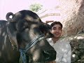 Rememberable moments of my Life