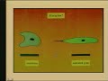 Creation - Origin of variety by Walter J. Veith Creation - Origin of variety by Walter J. Veith