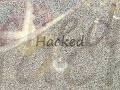 hexxagon got hacked and i created a new acc and a new char called hexx