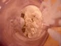 Banana Ice Cream