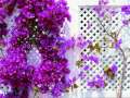 How-Beautiful-You-Must-Be-(acappella)---Shahid-Falahi