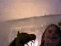 Sam's Horse Play