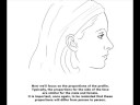 Proportions of the Human Head