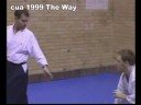 Aikido,CUA,Demo
